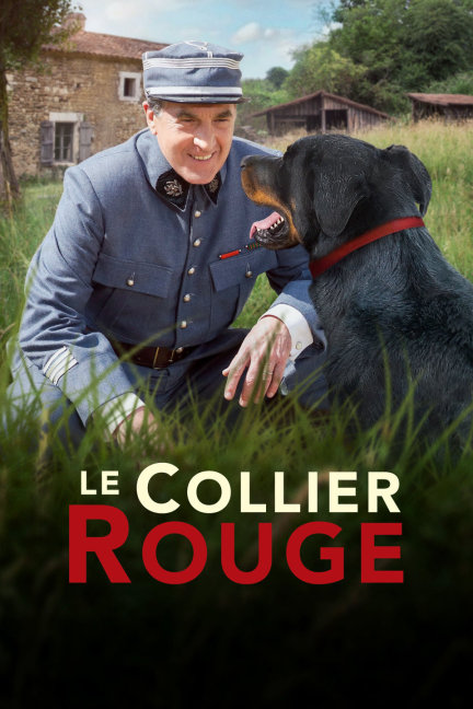 揭秘劉伯溫四不像必中一肖的神秘預(yù)測，劉伯溫四不像預(yù)測揭秘，神秘生肖預(yù)測法必中一肖