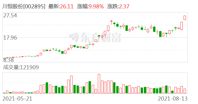 川恒股份股票，深度解析與發(fā)展前景展望，川恒股份股票深度解析與未來(lái)展望