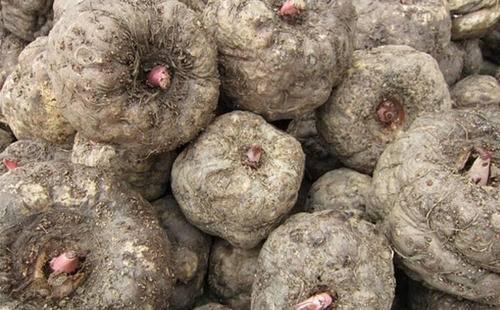 如何最快最健康地減肥，你的個(gè)性化減肥指南，個(gè)性化減肥指南，實(shí)現(xiàn)快速健康減重的方法與策略