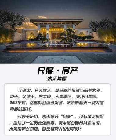 泰禾集團股吧，深度解析與前景展望，泰禾集團股吧，深度解析及前景展望