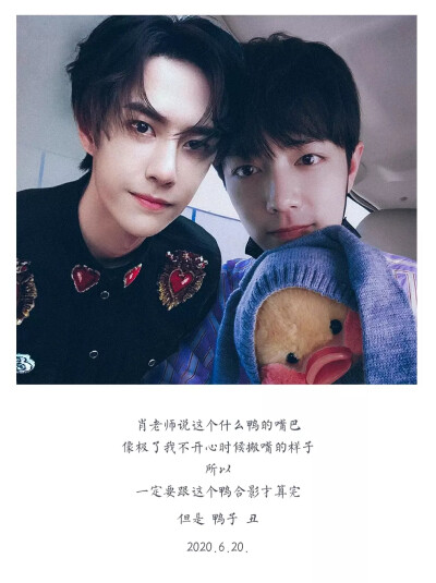 王中王一肖資料一肖王，深度解析與SEO優(yōu)化文章，王中王一肖資料深度解析與SEO優(yōu)化策略探討