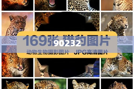 2025新澳天天開好彩大全第78期精彩回顧與前瞻，新澳天天開第78期精彩回顧與前瞻，展望未來的彩票之旅