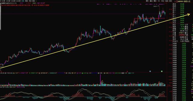中國(guó)十大龍頭股，引領(lǐng)股市，展現(xiàn)經(jīng)濟(jì)力量，中國(guó)十大龍頭股引領(lǐng)股市，展現(xiàn)強(qiáng)勁經(jīng)濟(jì)力量