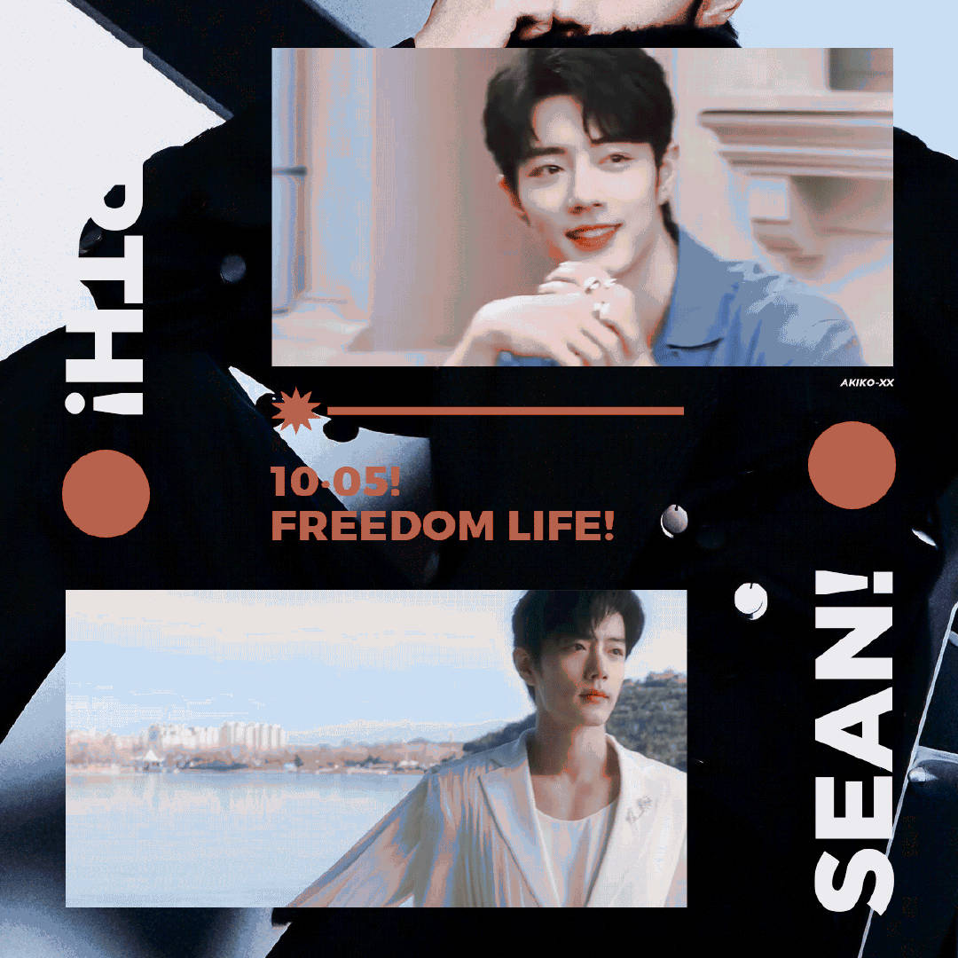 一肖一碼一一肖一子，揭秘生肖與數(shù)字之間的神秘聯(lián)系，揭秘生肖與數(shù)字之間的神秘關(guān)聯(lián)，一肖一碼一與子相連的秘密