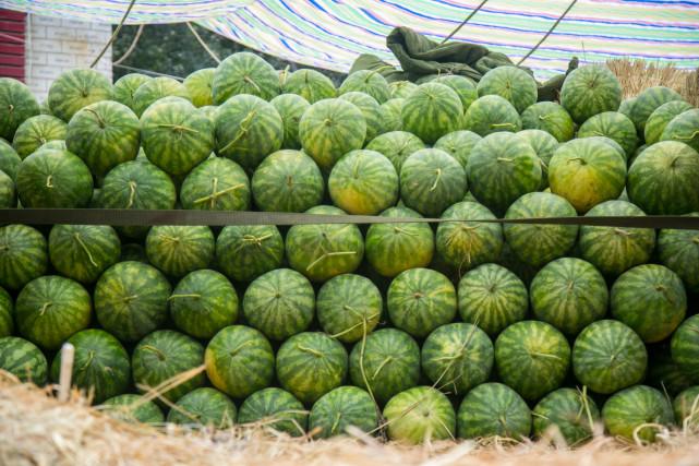 澳門一碼一肖預(yù)測，揭秘真相與風(fēng)險應(yīng)對，澳門一碼一肖預(yù)測揭秘，真相探索與風(fēng)險應(yīng)對策略