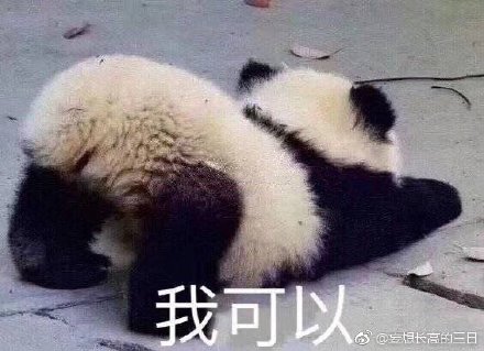 澳門四不像圖片大全——探索神秘的文化融合藝術(shù)，澳門文化融合藝術(shù)探索，四不像圖片大全