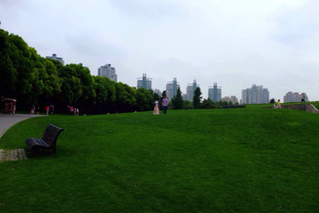 上海世紀(jì)公園是否需要門票？全面解析入園政策，上海世紀(jì)公園入園政策解析，門票需求與規(guī)定