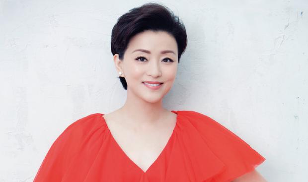 江蘇陽光股份股票，深度解析與前景展望，江蘇陽光股份股票深度解析及未來前景展望