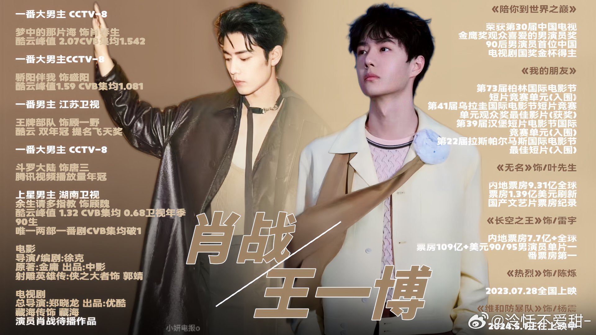 王中王一肖精準資料，深度解析與探索，王中王一肖資料深度解析與探索，精準資料揭秘