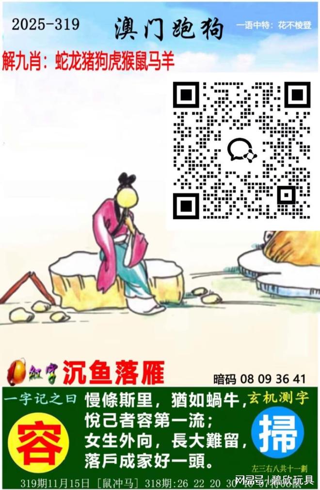 澳門六開彩開獎碼結果，深度解析與預測，澳門六開彩開獎碼結果深度解析及預測報告