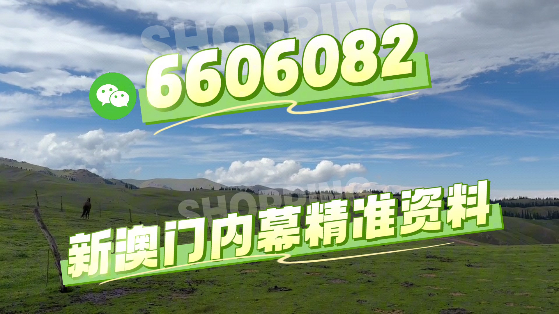 澳門必開一肖二碼，揭秘背后的秘密與策略，澳門必開一肖二碼揭秘，背后的秘密策略與預(yù)測(cè)技巧