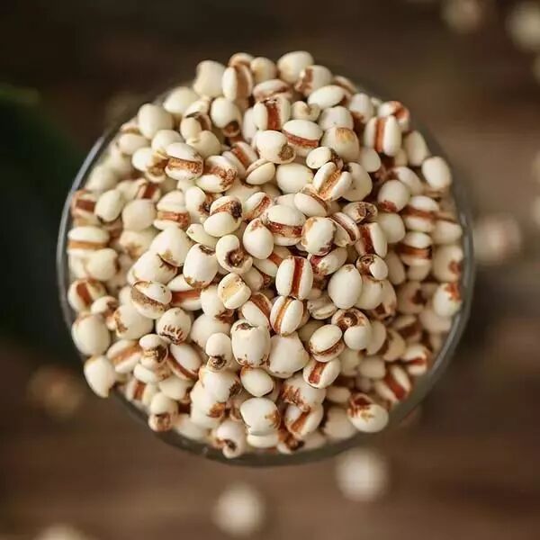 薏米，一種健康寶藏的神奇谷物，薏米，健康寶藏的神奇谷物