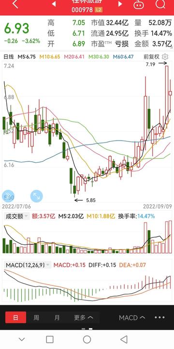 桂林旅游股票，投資前景與市場潛力分析，桂林旅游股票投資前景與市場潛力深度解析