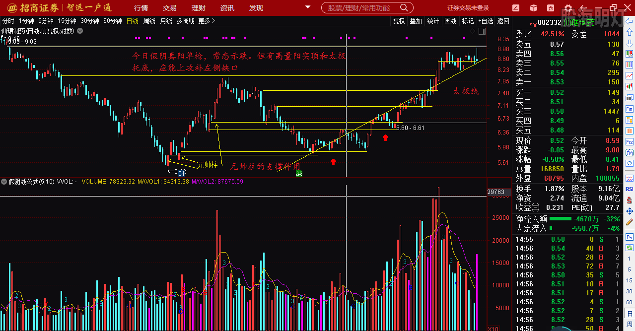 仙琚制藥股票（代碼，002332）深度解析，仙琚制藥股票深度解析（代碼，002332）