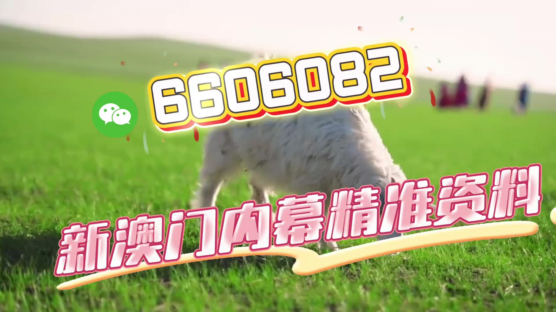 一肖中特免費(fèi)資料選一，揭秘彩票秘密，帶你走向成功之路，揭秘彩票秘密，一肖中特資料助你走向成功之路