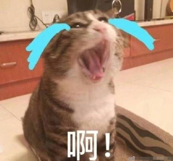 關(guān)于叫出來(lái) 我想聽的探討與分享，關(guān)于叫出來(lái) 我想聽的的探討與分享