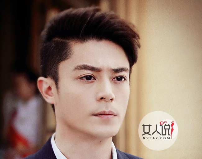 霍建華個(gè)人資料及年齡揭秘，霍建華個(gè)人資料、年齡大揭秘