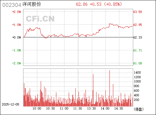 股票002304，深度解析與投資策略，股票002304深度解析與實(shí)戰(zhàn)投資策略探討