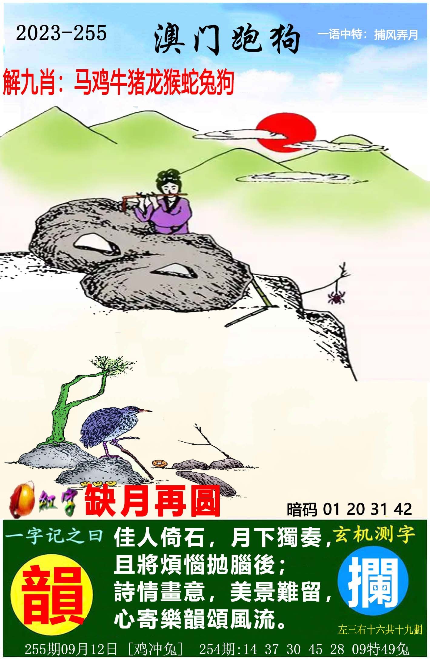 澳門(mén)六開(kāi)獎(jiǎng)結(jié)果特馬師——探索與解析，澳門(mén)六開(kāi)獎(jiǎng)結(jié)果特馬師解析與探索