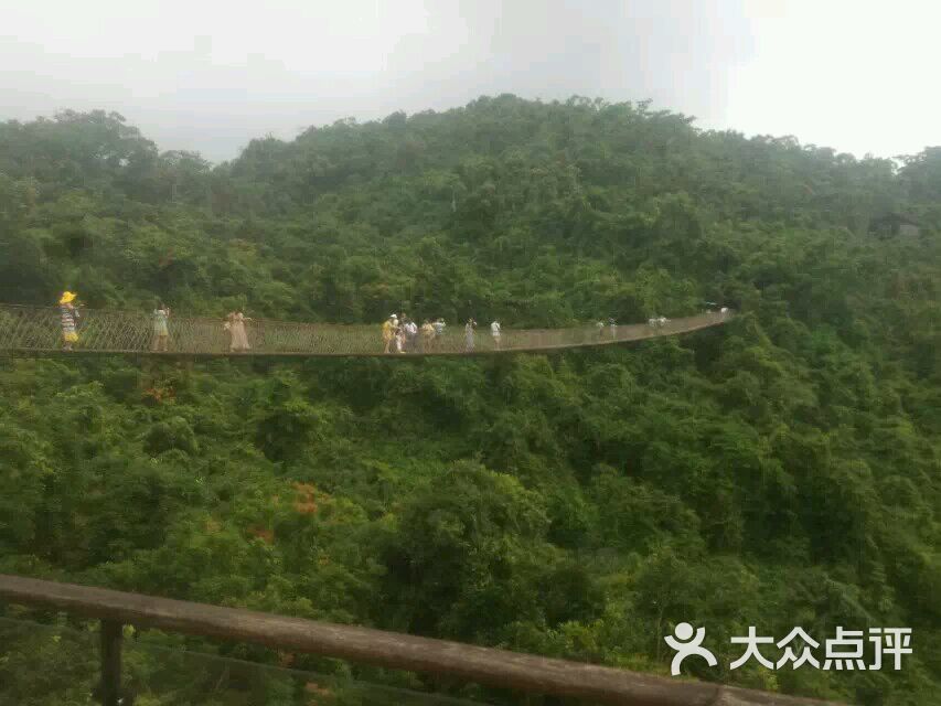 亞龍灣熱帶天堂森林公園景點介紹——探秘?zé)釒ЬG意盎然的自然奇觀，亞龍灣熱帶天堂森林公園探秘，熱帶綠意盎然的自然奇觀景點介紹