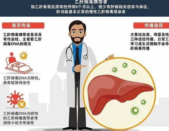 乙肝病毒攜帶者可怕嗎，深入了解與正確應(yīng)對(duì)，乙肝病毒攜帶者的真相，深入了解與正確應(yīng)對(duì)之道