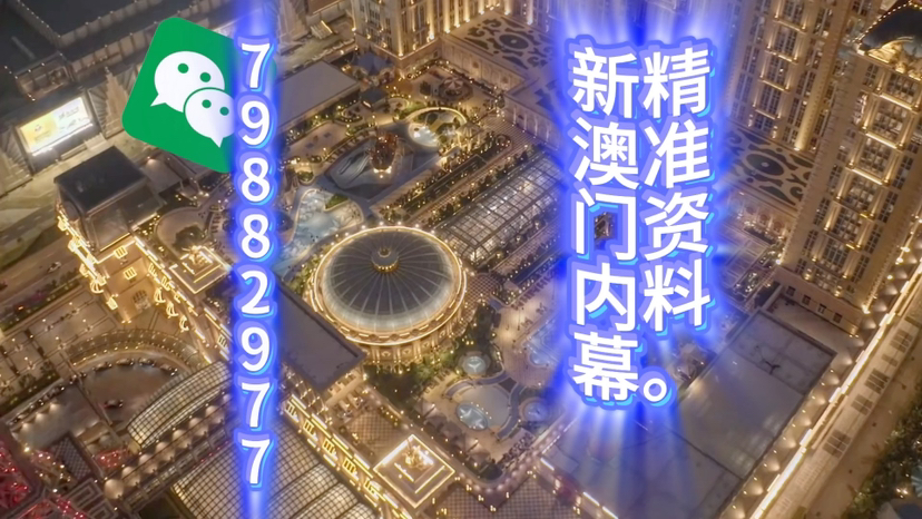 新澳門(mén)精準(zhǔn)三肖三碼中特，探索澳門(mén)博彩文化的獨(dú)特魅力，澳門(mén)博彩文化獨(dú)特魅力探索，精準(zhǔn)三肖三碼中特