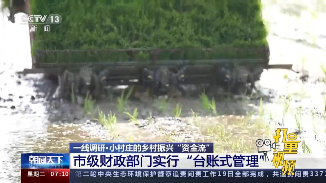 揭秘王中王滅莊好料一肖一真相，揭秘王中王滅莊真相，揭秘好料一肖內(nèi)幕