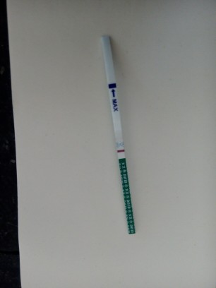 早孕試紙圖片，了解使用與選擇的重要性，早孕試紙圖片，使用與選擇的重要性解析