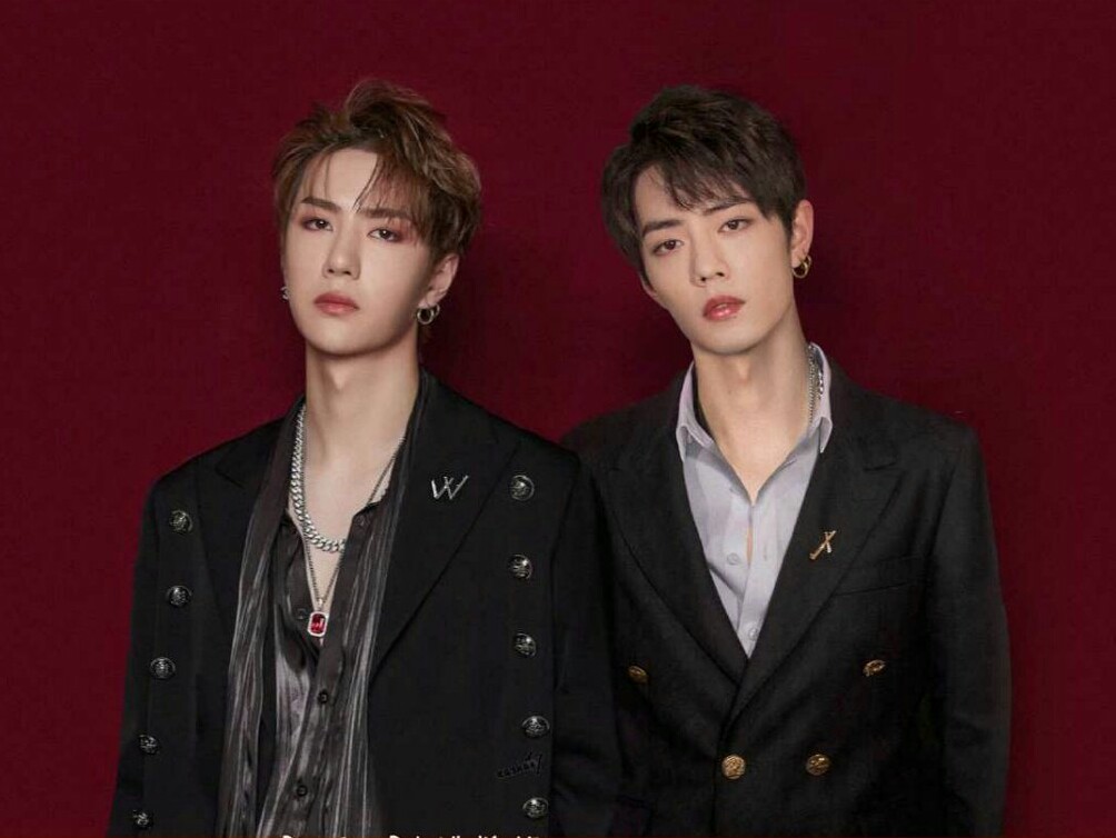 王中王一肖資料詳解，一探究竟的全方位解析，王中王一肖全方位深度解析，資料詳解與探究真相