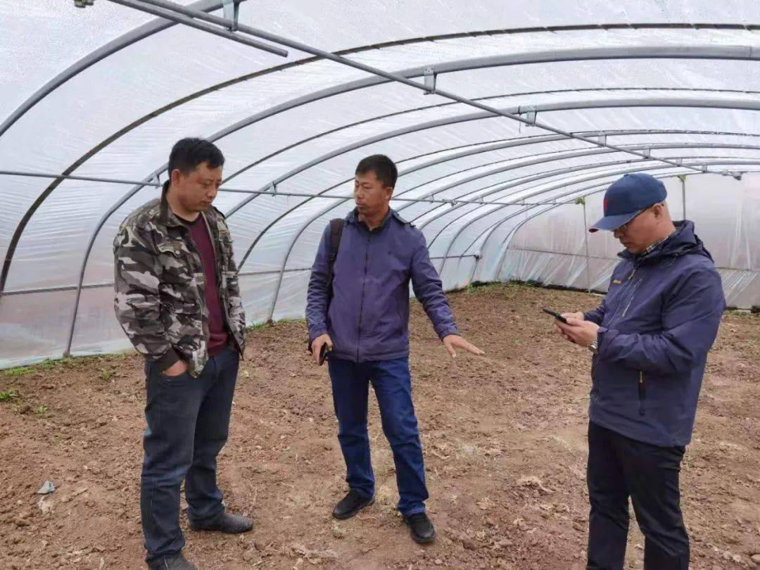 新澳門王中王100%期期中