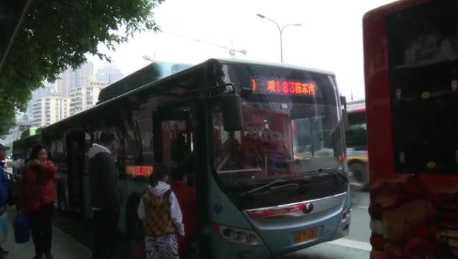 一肖買什么——揭秘最佳選擇與策略，揭秘生肖彩票最佳選擇與策略，一肖買什么？