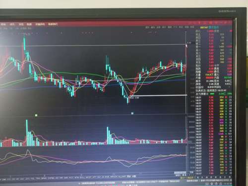 探索福瑞股份股吧的獨(dú)特魅力，一個(gè)全方位解析的視角，福瑞股份股吧的獨(dú)特魅力，全方位解析視角