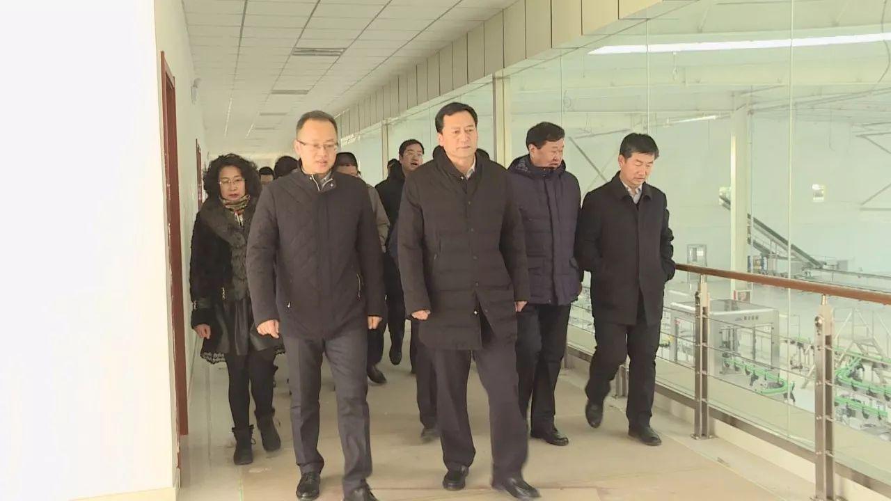 駱駝股份股吧深度解析，探究企業(yè)潛力與價值，駱駝股份股吧深度解析，探究企業(yè)潛力與價值展望