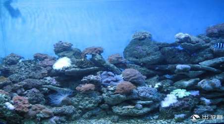 青島海底世界門票價(jià)格大全，探索海洋的門票費(fèi)用是多少？，青島海底世界門票價(jià)格詳解，探索海洋之旅的費(fèi)用是多少？