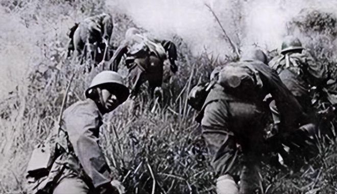 對越自衛(wèi)反擊戰(zhàn)，歷史回顧與意義解析，對越自衛(wèi)反擊戰(zhàn)，歷史回顧與深遠(yuǎn)意義解析