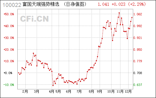 關(guān)于凈值與富國(guó)天瑞，深度解析與SEO洞察，凈值與富國(guó)天瑞的深度解析及SEO洞察探究