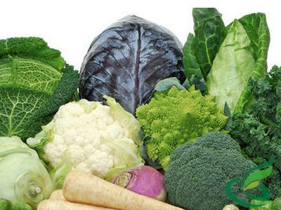 五種可止瀉的蔬菜，天然健康的止瀉良方，五種天然蔬菜止瀉良方，健康有效的止瀉選擇