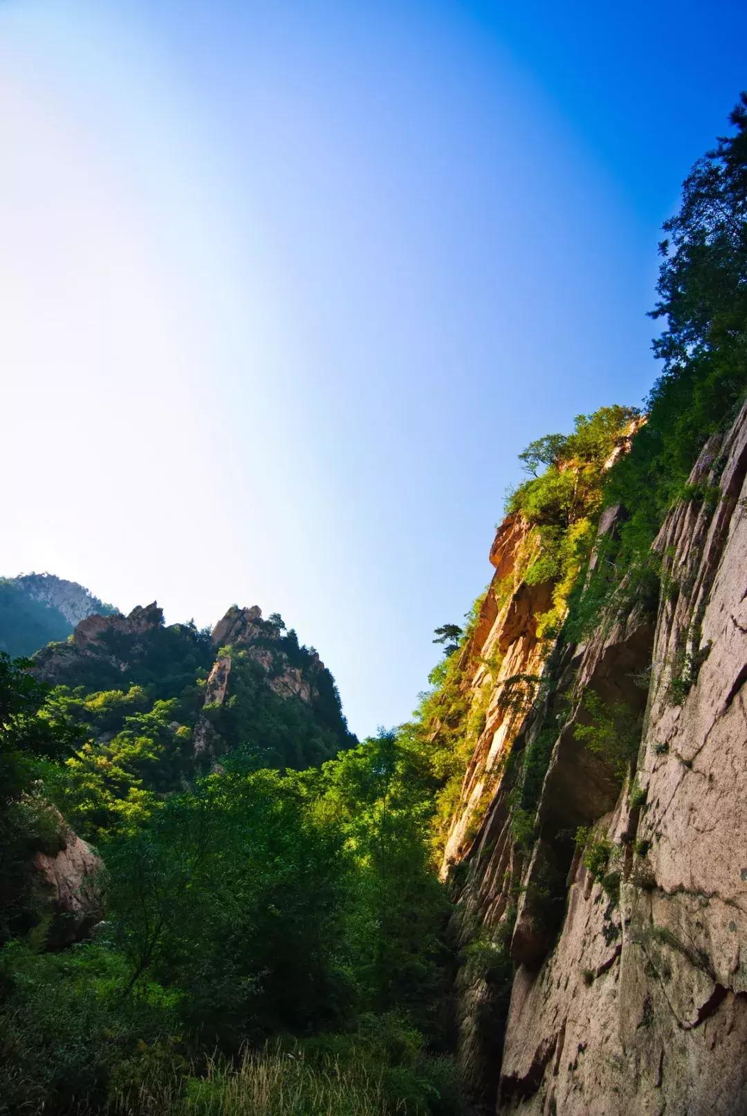 新聞咨詢(xún) 第46頁(yè)