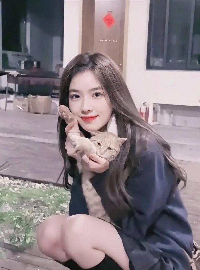 孫一寧照片與個人資料，深度探索，孫一寧照片與深度個人資料探索