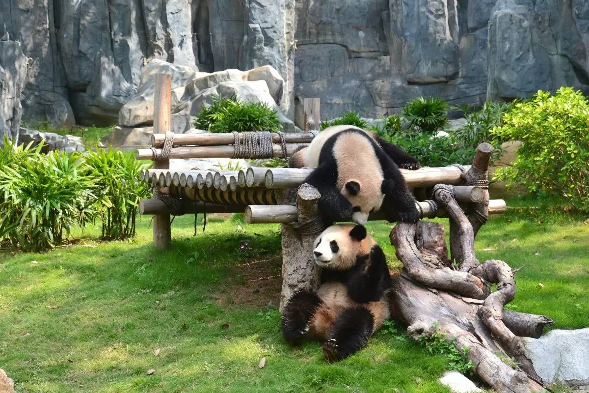 熱點(diǎn) 第30頁(yè)