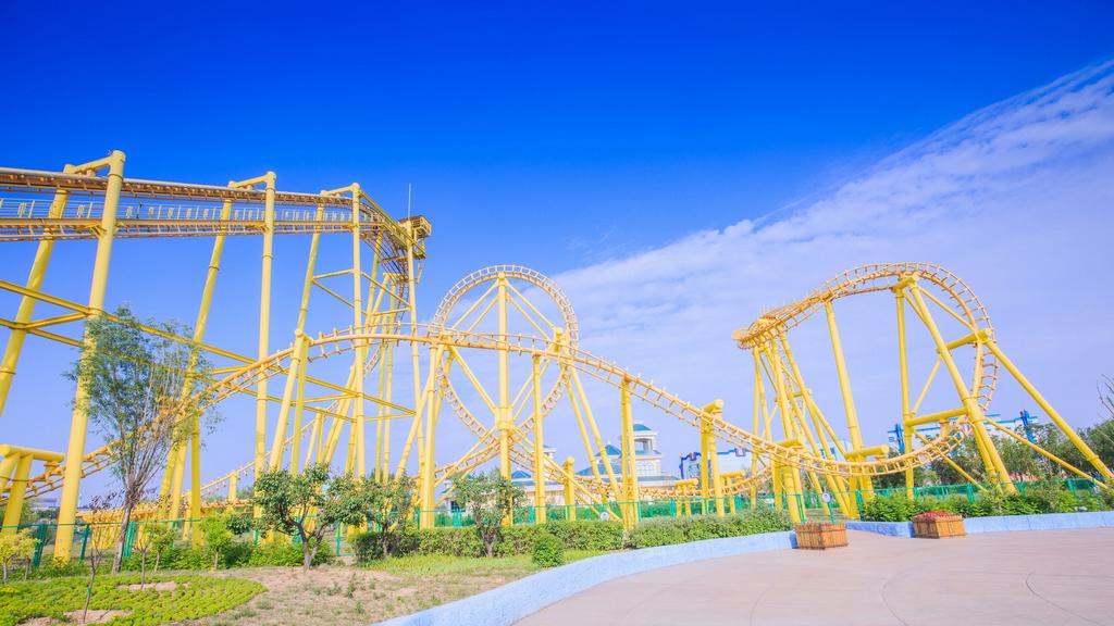 茂密森林中的王中王——探尋一肖的神秘魅力，森林霸主一肖的神秘魅力探索