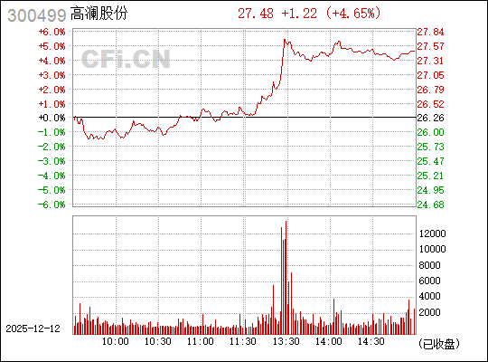 探索高瀾股份股吧，300499的潛力與價值，高瀾股份股吧潛力與價值深度探索