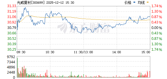 光威復(fù)材股票，深度解析與前景展望，光威復(fù)材股票深度解析及前景展望