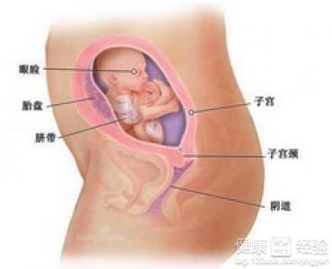 懷孕一個月，早期懷孕的注意事項與體驗，懷孕一個月，早期懷孕的注意事項及體驗分享