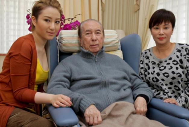 澳門精準四肖期期準免費公式亮點解析，澳門精準四肖期期準免費公式揭秘與亮點解析