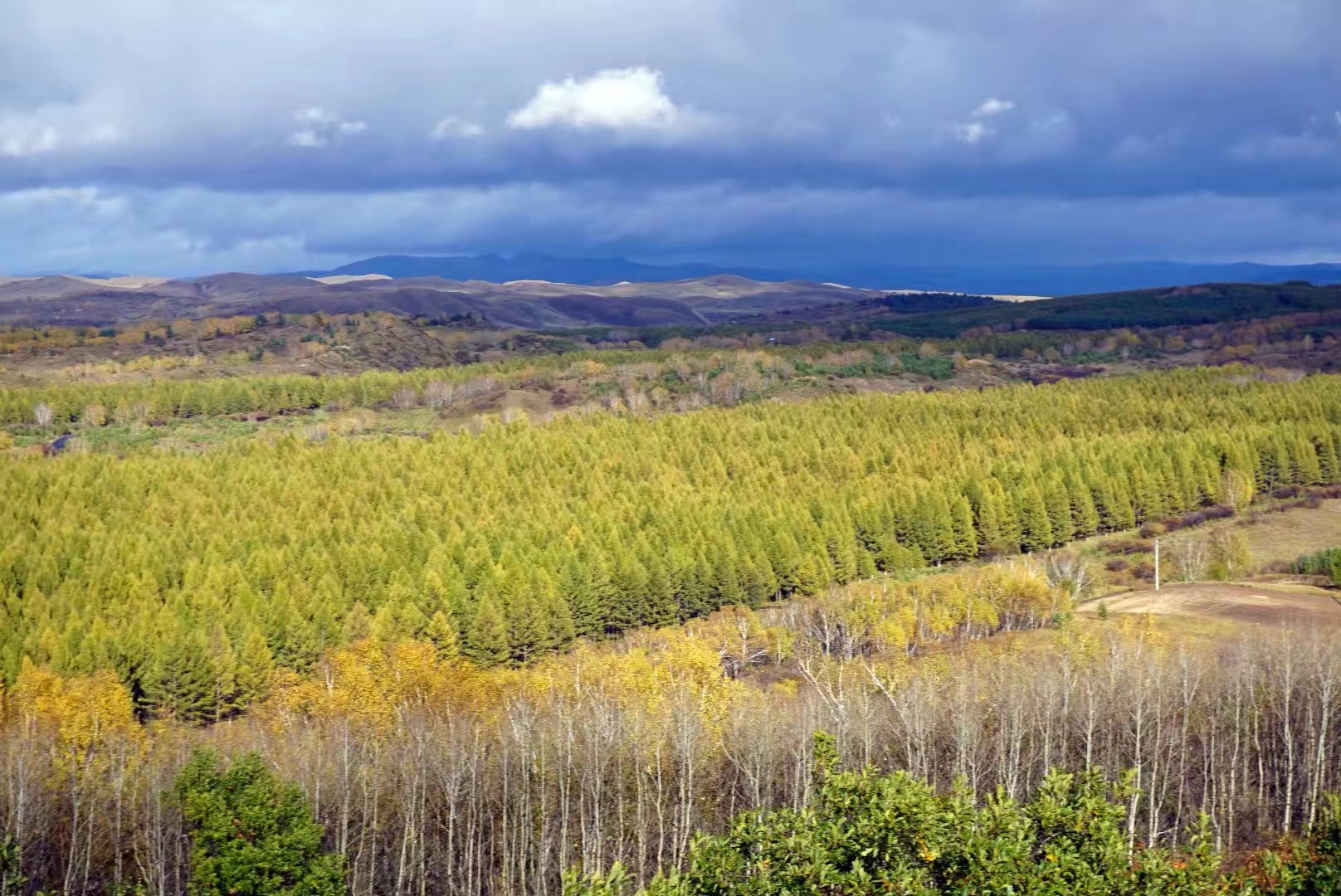 塞罕壩天氣預(yù)報(bào)，洞悉天氣變化，為您的旅行或生活提供精準(zhǔn)信息，塞罕壩天氣預(yù)報(bào)，精準(zhǔn)洞悉天氣變化，為您的出行保駕護(hù)航