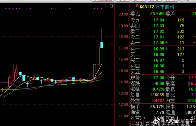 萬(wàn)豐化工股票，投資潛力與市場(chǎng)前景分析，萬(wàn)豐化工股票，投資潛力與前景深度分析