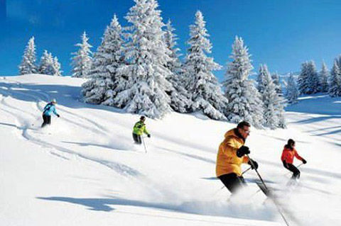 亞布力滑雪場(chǎng)簡(jiǎn)介——領(lǐng)略滑雪勝地的魅力，亞布力滑雪場(chǎng)簡(jiǎn)介，領(lǐng)略滑雪勝地的激情與魅力