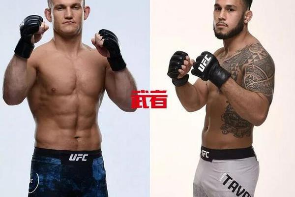 澳門六開獎(jiǎng)結(jié)果記錄圖，探索彩票背后的秘密，澳門六開獎(jiǎng)結(jié)果記錄圖揭秘彩票背后的秘密