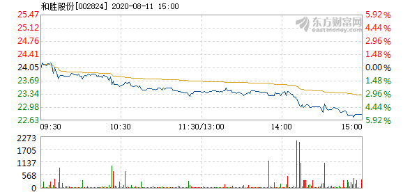和勝股份，探究其在行業(yè)中的優(yōu)勢與發(fā)展前景，和勝股份的行業(yè)優(yōu)勢與發(fā)展前景探究
